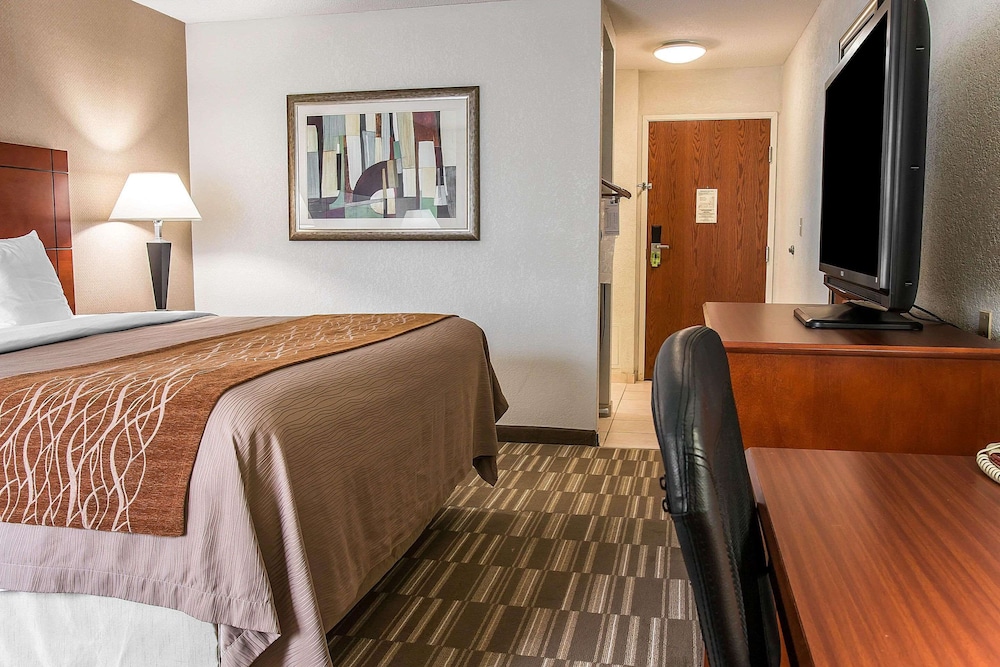 Spark by Hilton Ann Arbor South - photo 8