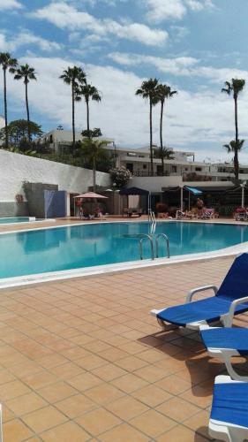 Playazul in las Americas in Playa De Las Americas, Spain