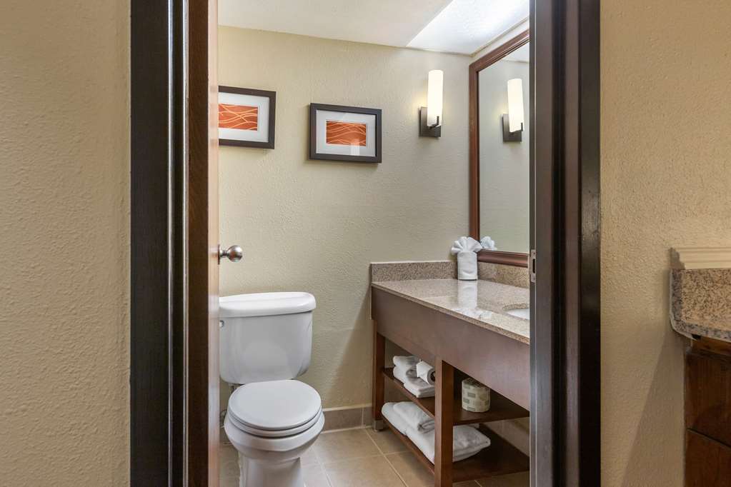 Comfort Inn Grand Rapids Airport - photo 11