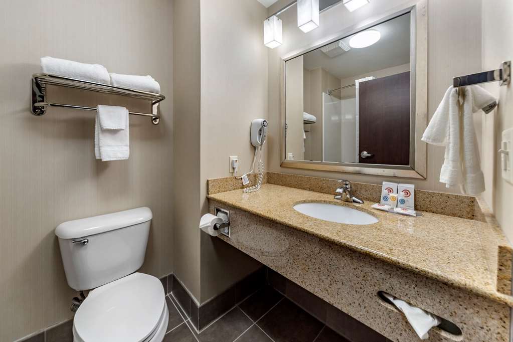 Comfort Inn & Suites Oklahoma City West I 40 - photo 8