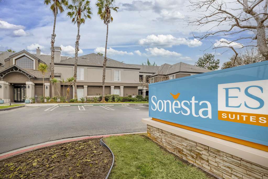 Sonesta ES Suites Torrance Redondo Beach - photo 21
