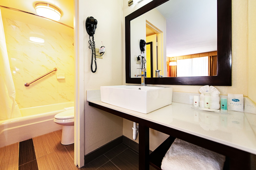 New Hope Inn & Suites - photo 10