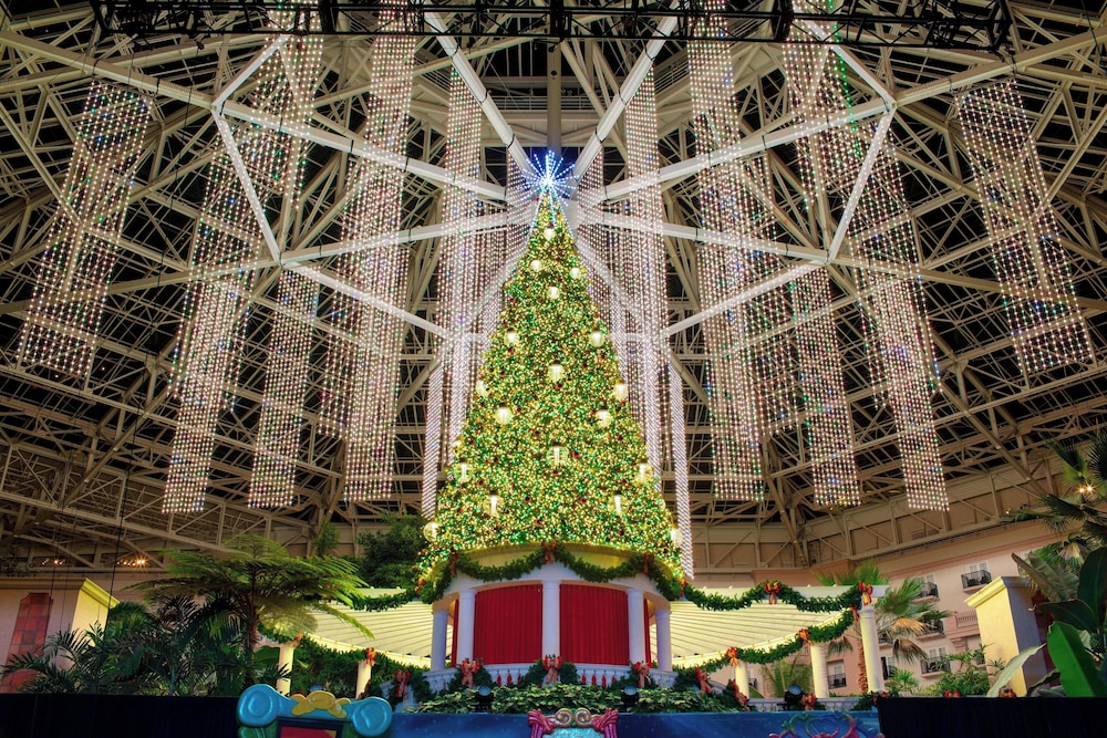 Gaylord Palms Resort & Convention Center - photo 46