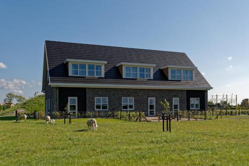 Hof Welzinge - carbon neutral hotel in Unknown City