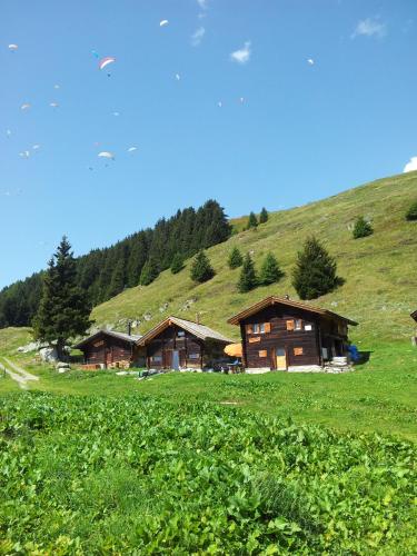 Alphütte Bielerhüs — Fiesch — photo 4