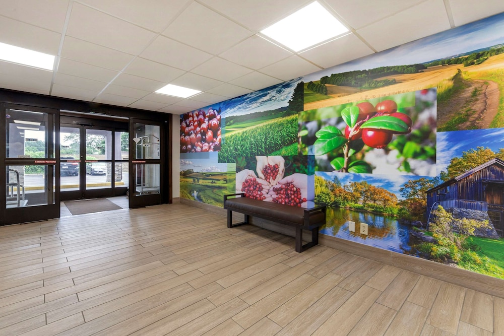 Red Roof Inn & Suites Tomah - photo 3