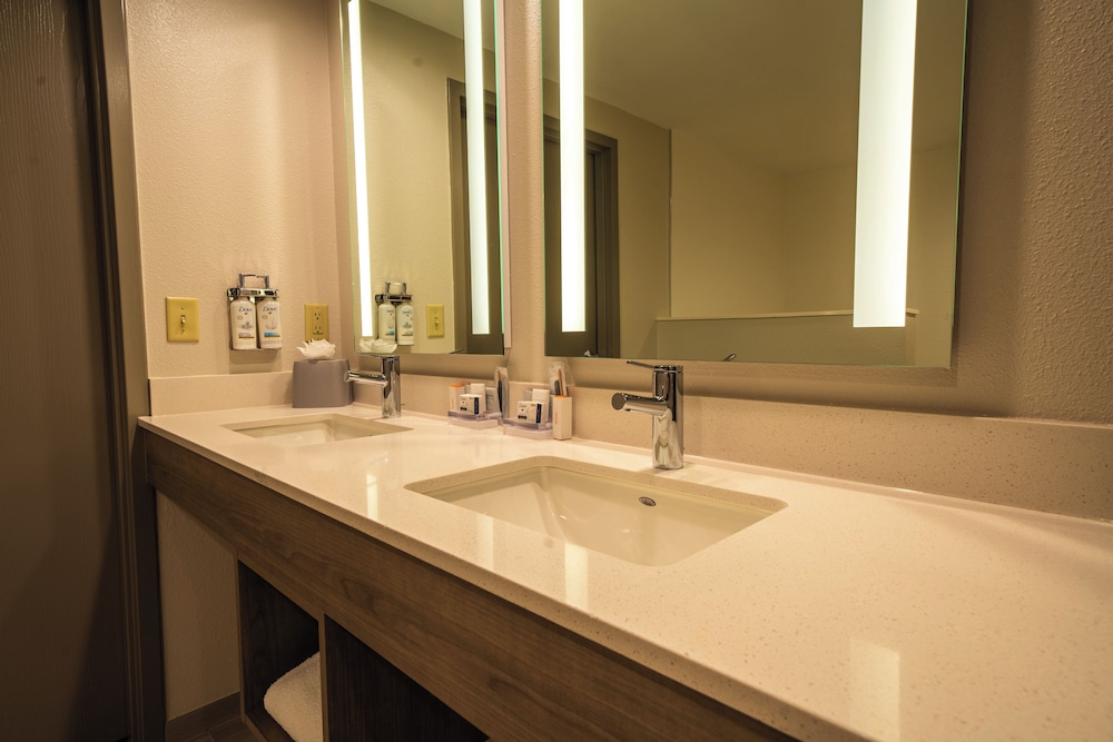 Holiday Inn Express Hotel & Suites Tampa Northwest Oldsmar by IHG - photo 21
