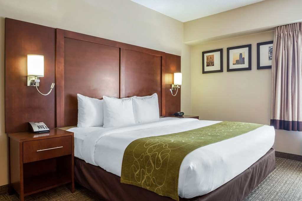 Comfort Suites at Woodbridge - photo 15