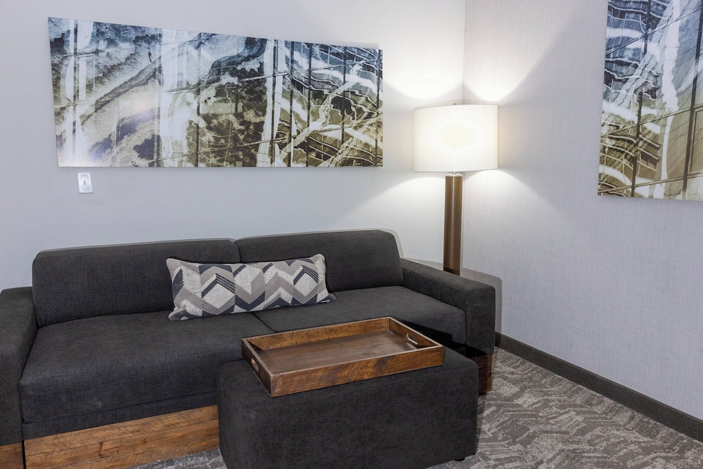 SpringHill Suites by Marriott Slidell - photo 14