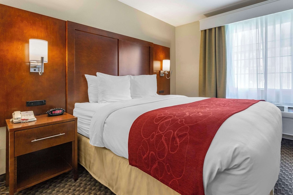 Spark by Hilton Tempe Phoenix Airport - photo 14