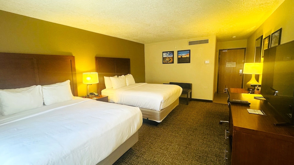 Comfort Inn Salt Lake City Downtown - photo 20