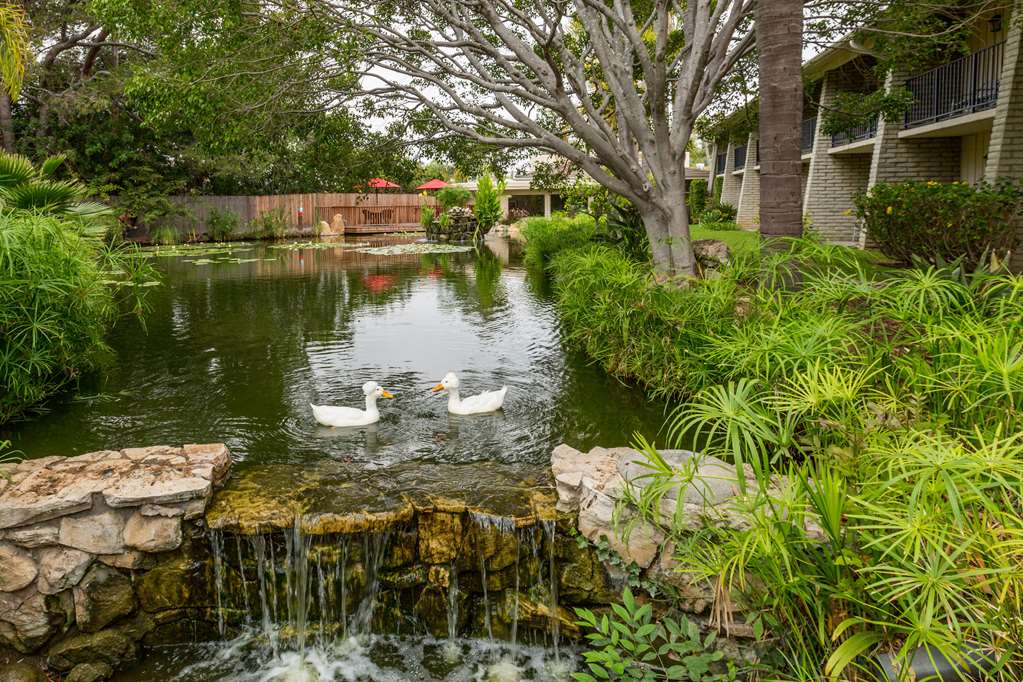 Ramada by Wyndham Santa Barbara - photo 6
