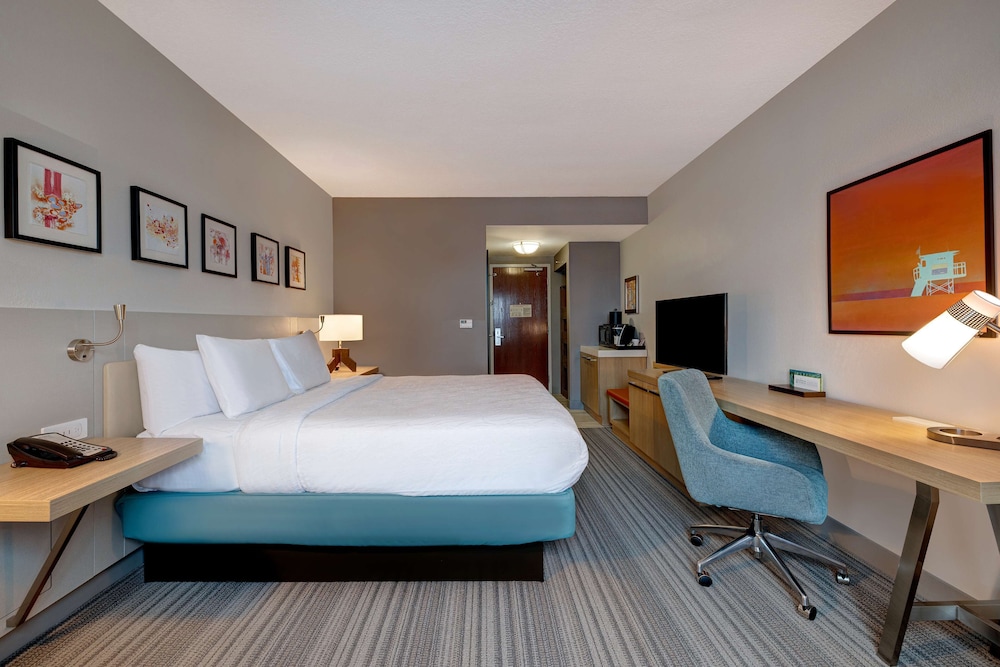 Hilton Garden Inn Tampa Northwest Oldsmar - photo 11