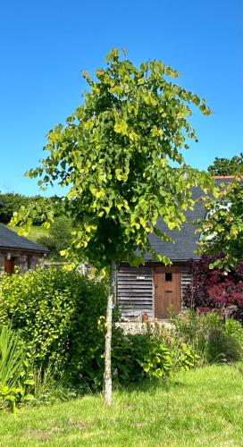 Ty Odyn. Best of Both Worlds. Rural yet Connected. in Newport, United Kingdom
