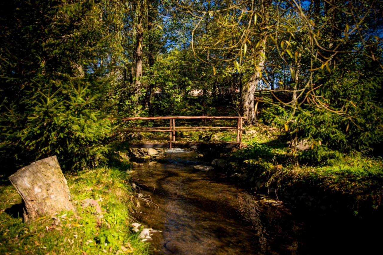 Medvebocs Vendégházak in Zetea, Romania