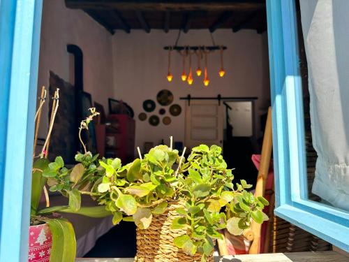 Atelier 20th — hotel in Aljustrel