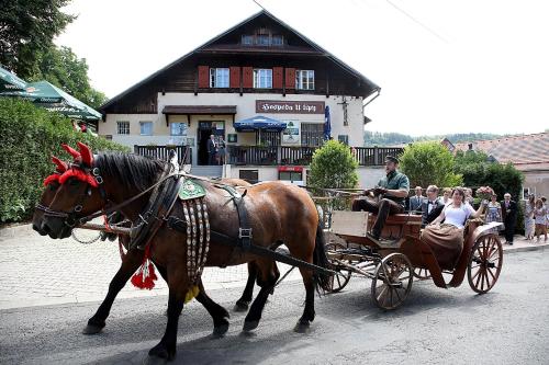 Hospoda U Lipy — hotel in Ostrov