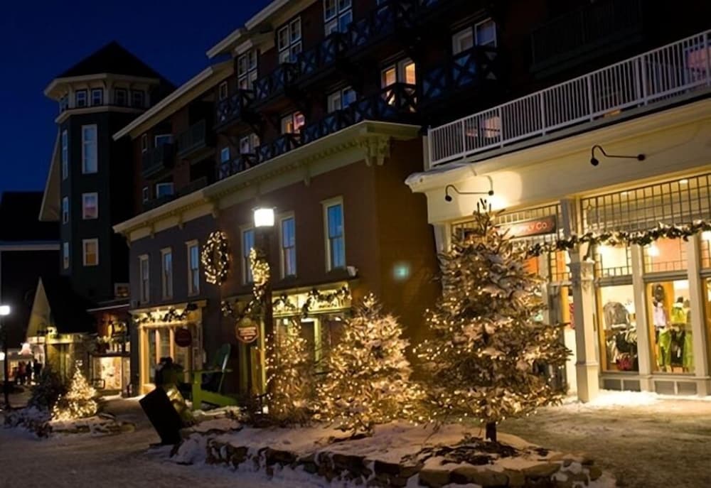 Snowshoe Mountain Resort Leatherbark — hotel in Marlinton