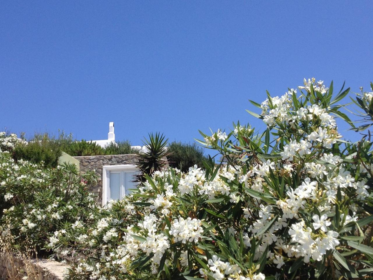 Mykonos Love Nest — Ano Mera — photo 2