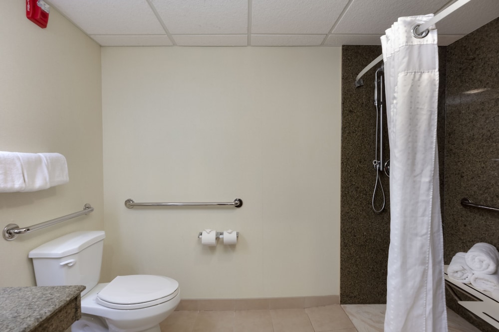 Holiday Inn Express & Suites Atlanta Downtown by IHG - photo 70