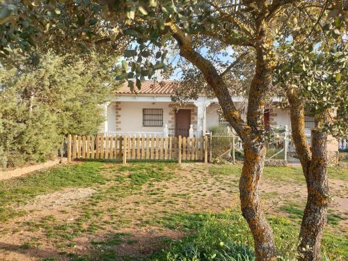 La Caseja Rural — hotel in Ossa De Montiel
