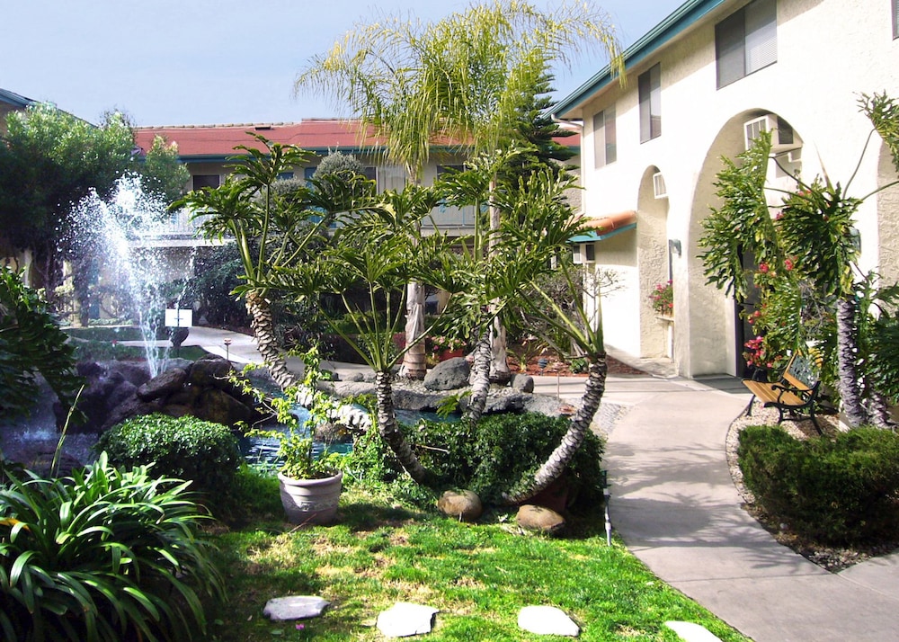 California Suites Hotel - photo 34
