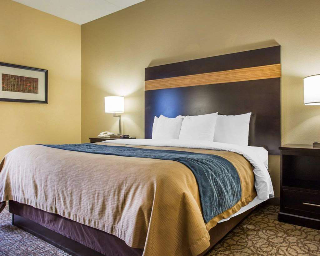 Comfort Inn & Suites at Stone Mountain - photo 11