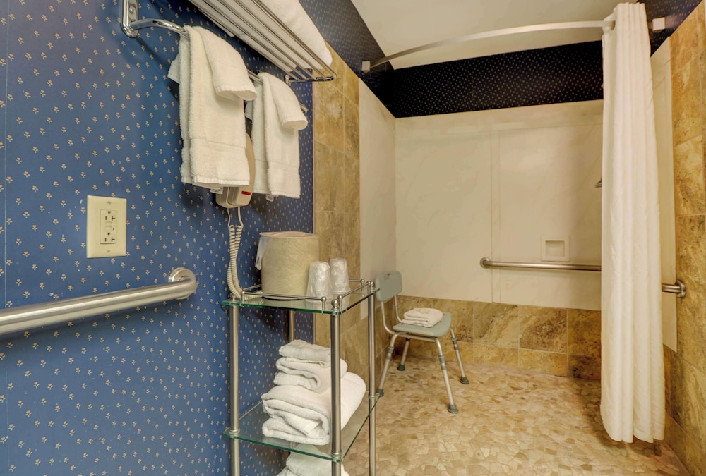 Senator Inn & Spa - photo 104