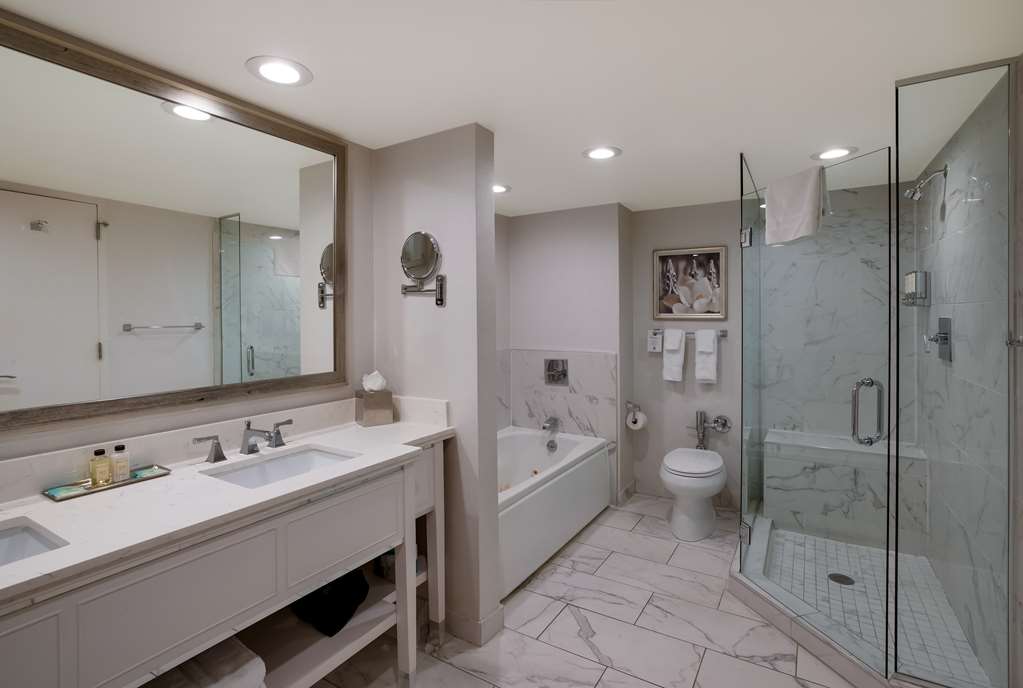 The Royal Sonesta New Orleans - photo 43