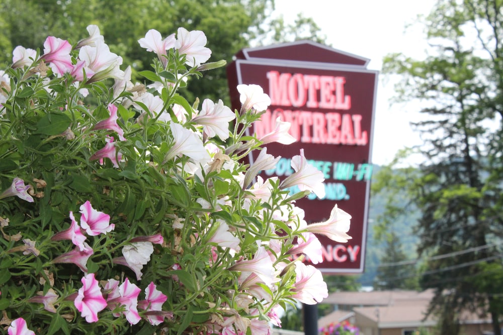 The Motel Montreal - photo 52