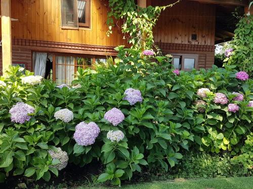 Sta. Marta B&B — Curico — photo 5