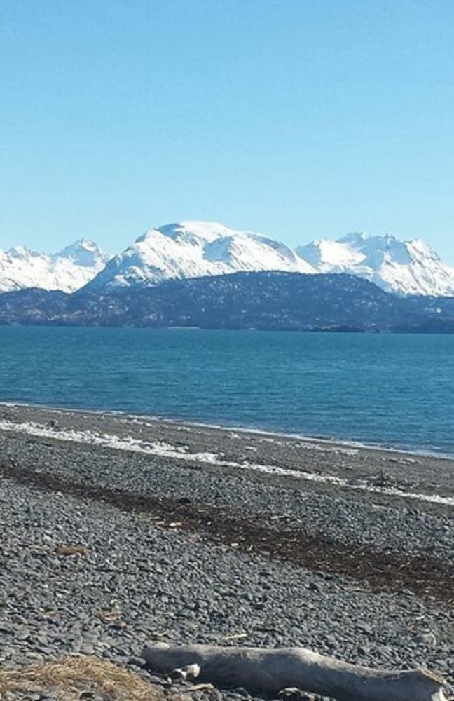 Beluga Lake Lodge - photo 8