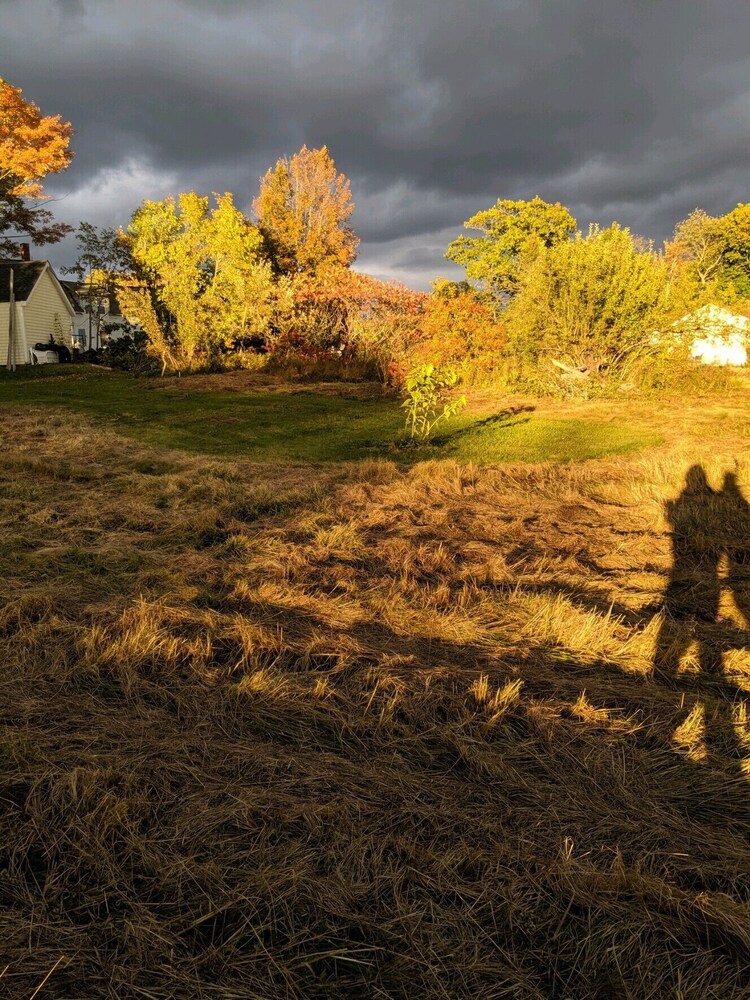 The Nightfall Inn - photo 30