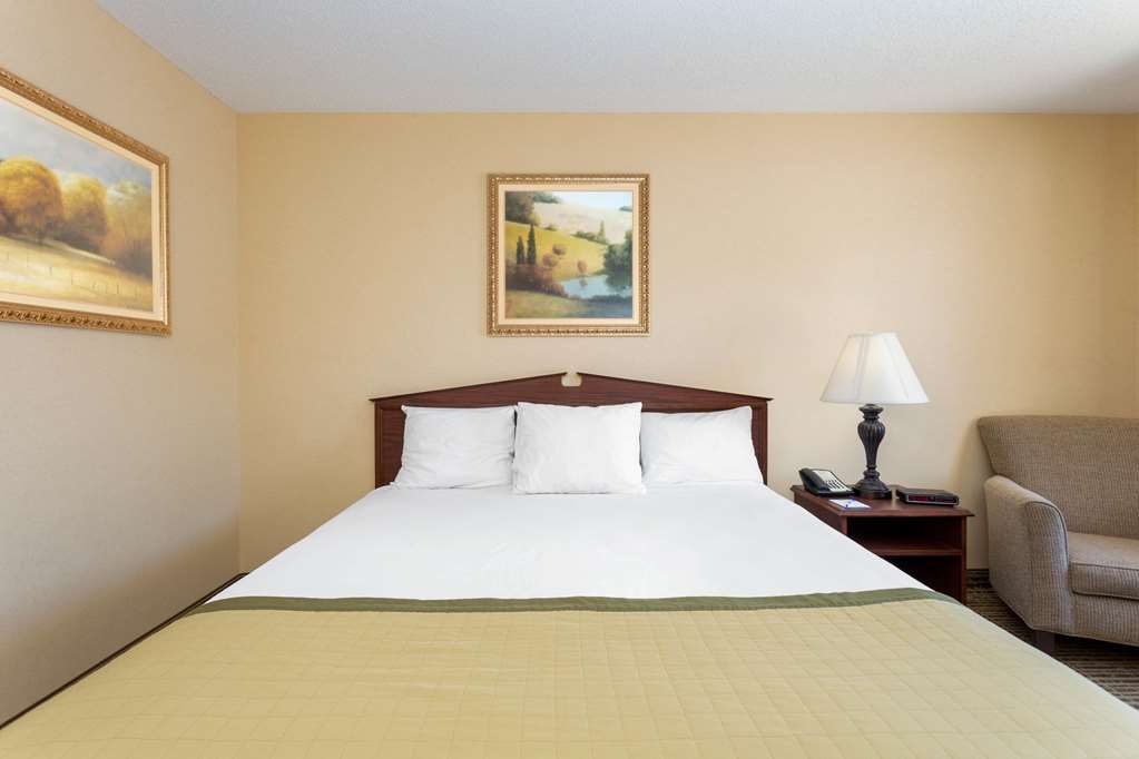 Baymont by Wyndham Easley Greenville - photo 10