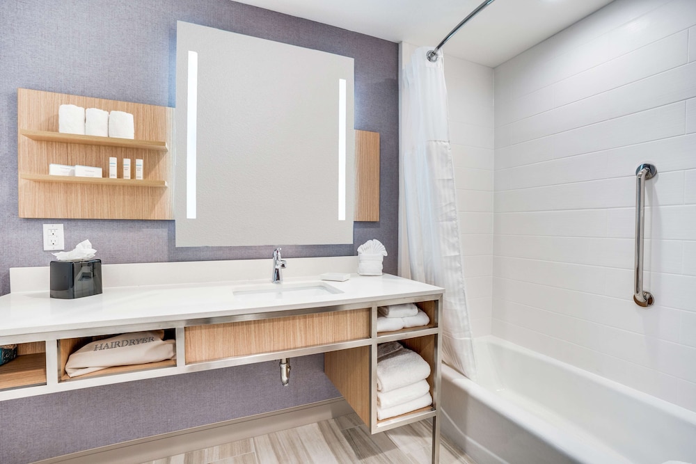 Hilton Garden Inn North Dallas Central Expy - photo 18