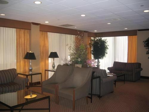 Garden Plaza Hotel - photo 8