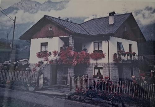 Casa Lino — Premia — photo 2