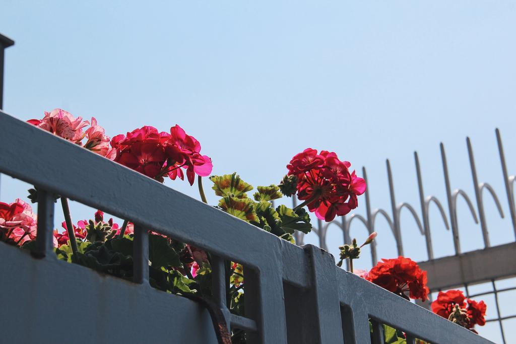Santa Clara — 4-Star Luxury Hotel in Naples, Italy