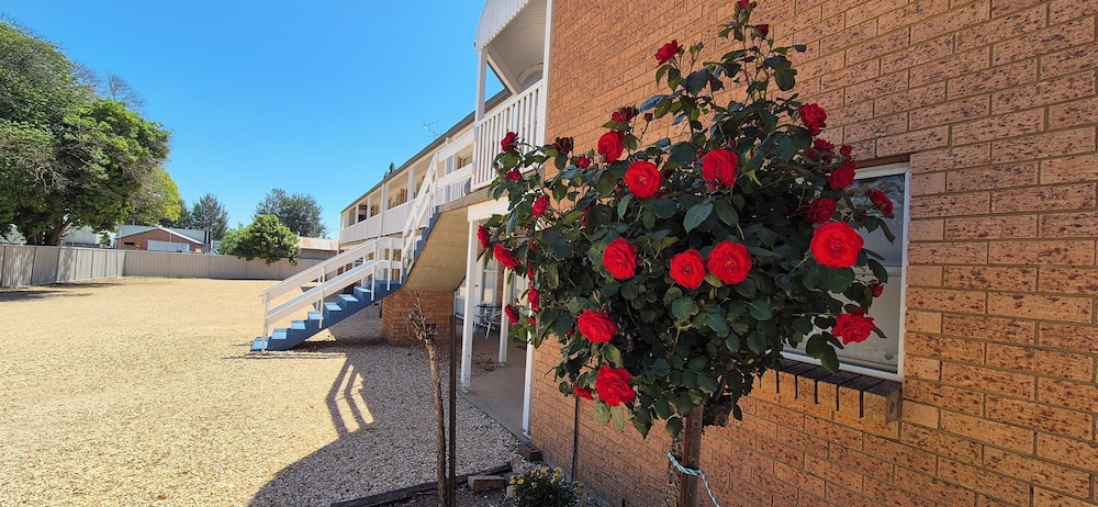 Molong Motor Inn - last minute hotel in Molong