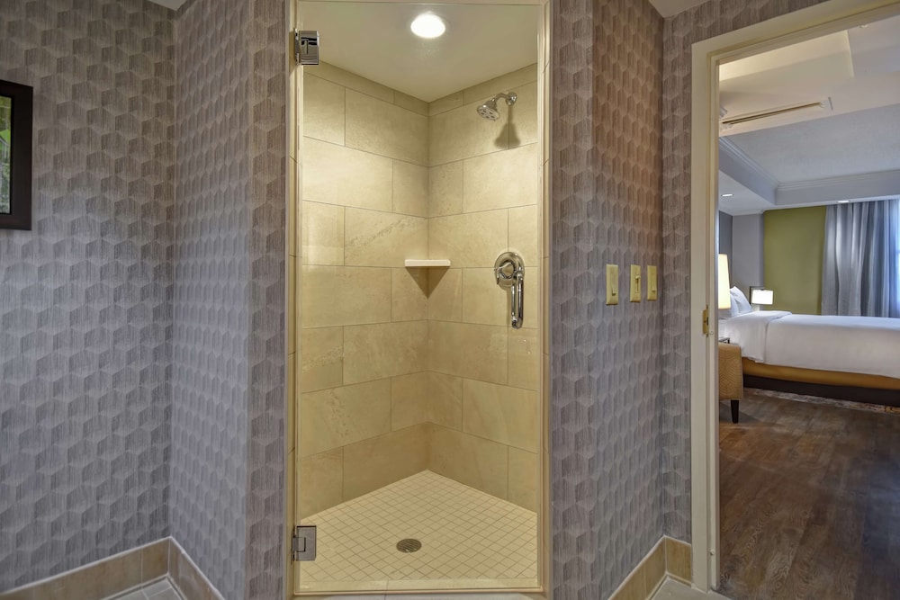 Embassy Suites Little Rock - photo 52