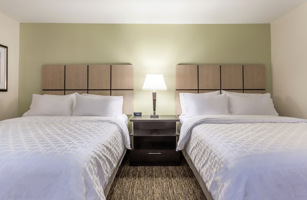 Candlewood Suites Davenport by IHG - photo 13