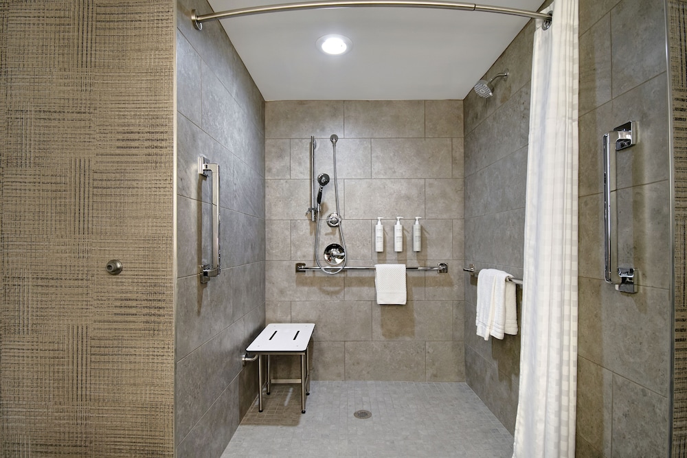 Embassy Suites by Hilton Detroit Metro Airport - photo 24