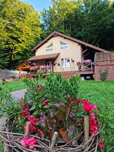 Zelena Saduba - last minute hotel in Nevyts'ke