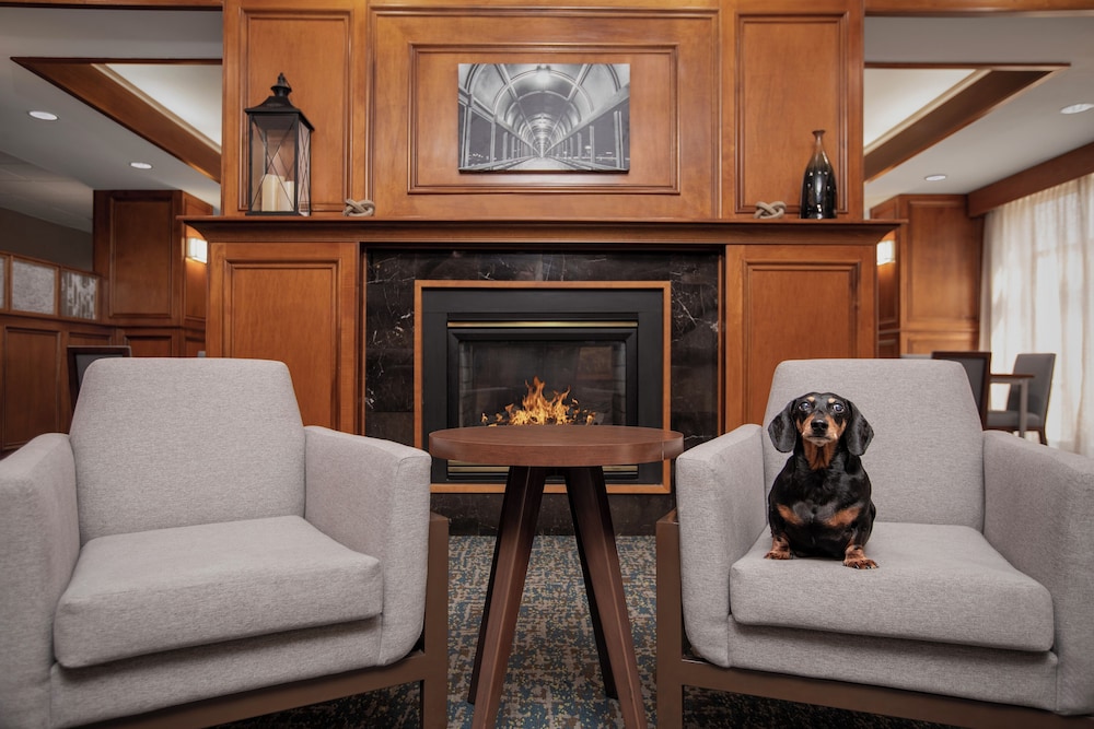Hampton Inn Waterloo Cedar Valley - photo 44