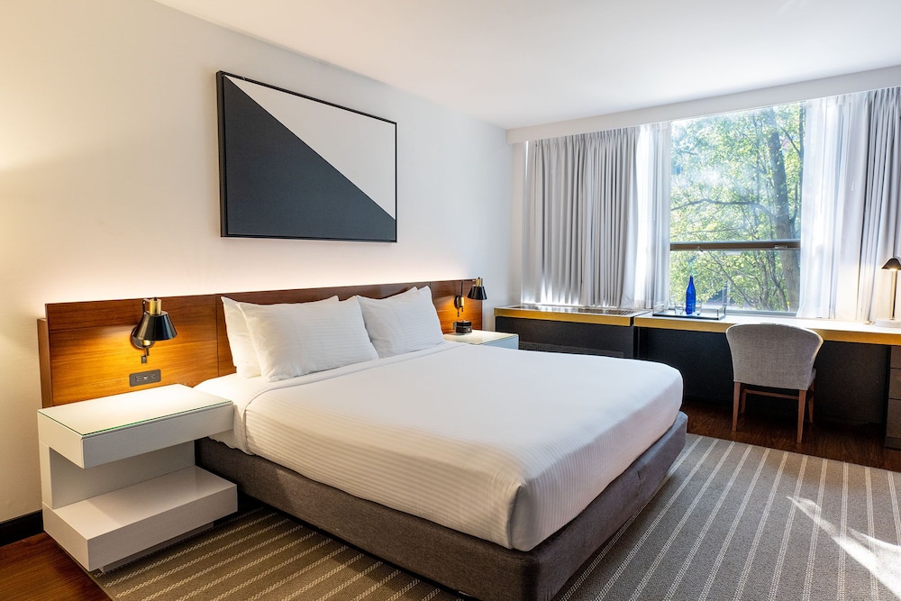 Eurostars Saint Gregory Dupont Circle Georgetown - photo 45