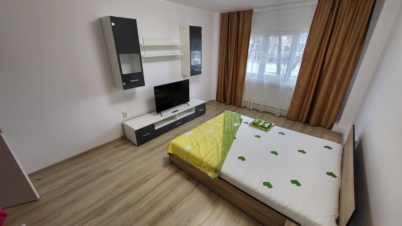 Apartament Gabi — Pitesti — photo 3