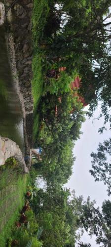 Paraiso de June Quxote Ecofarm Resort pet-friendly hotel Naic