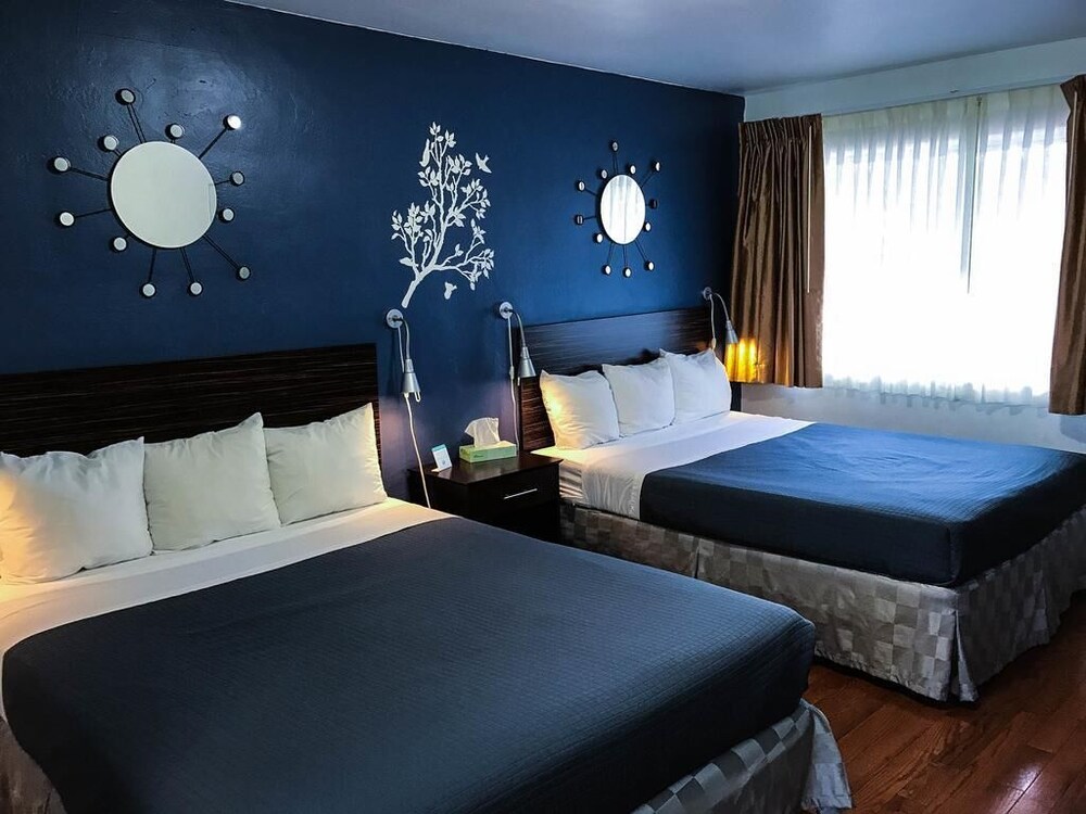 Golden Bear Hotel - photo 9