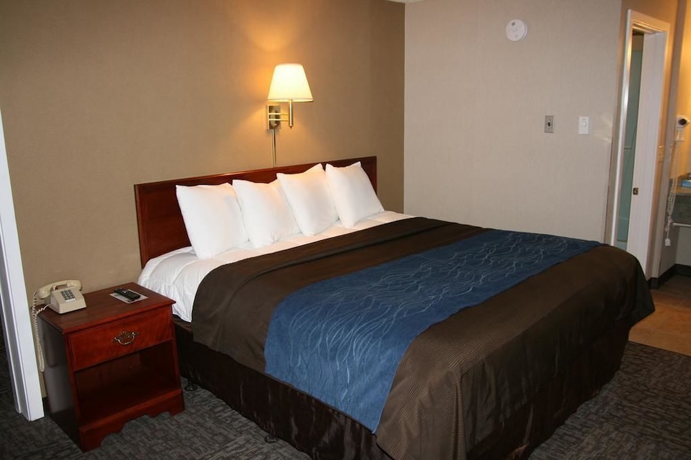 Bangor Inn & Suites - photo 8