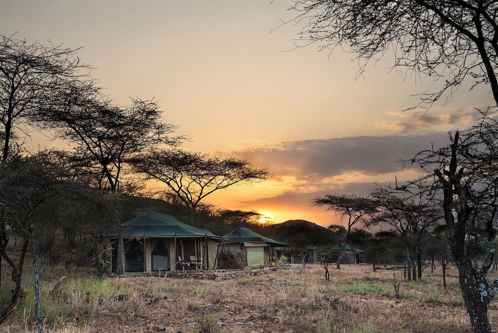 Ole Serai Luxury Camp — 4-Star Luxury Hotel in Bariadi, Tanzania